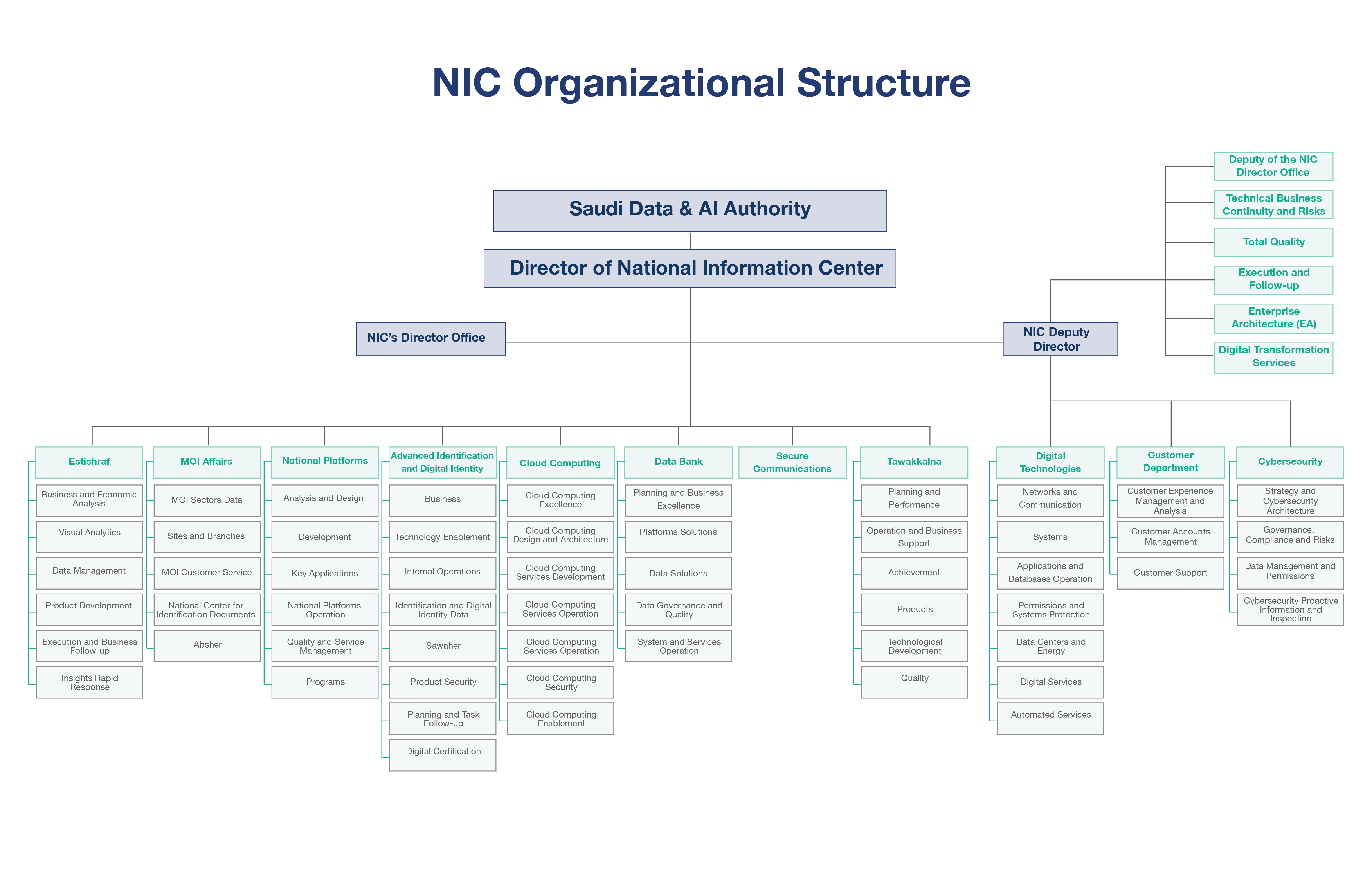 NIC Organizational Structure